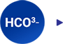 hco3